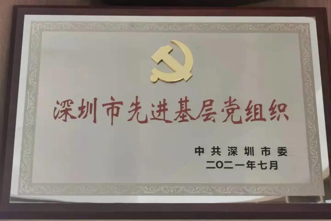 喜报 | 南风党支部获“深圳市先进基层党组织”光荣称号